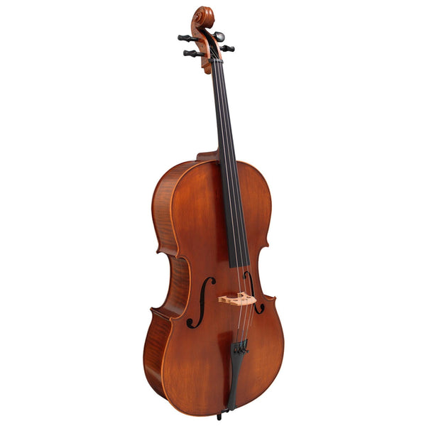 Vivente 4/4 Cello Outfit 3182AG