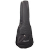 BSM100M 3/4 Acoustic Guitar