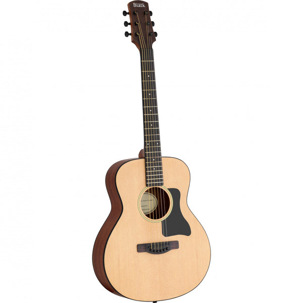 8802TNA Travel Acoustic Natural