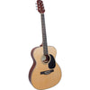 0-2 Trans Acoustic Guitar