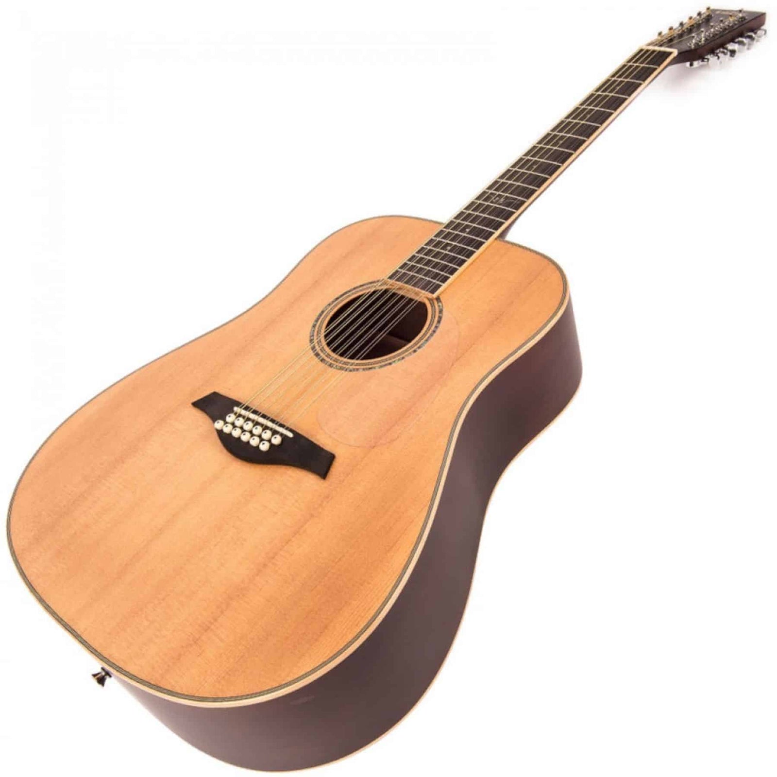 V501 12 String Acoustic