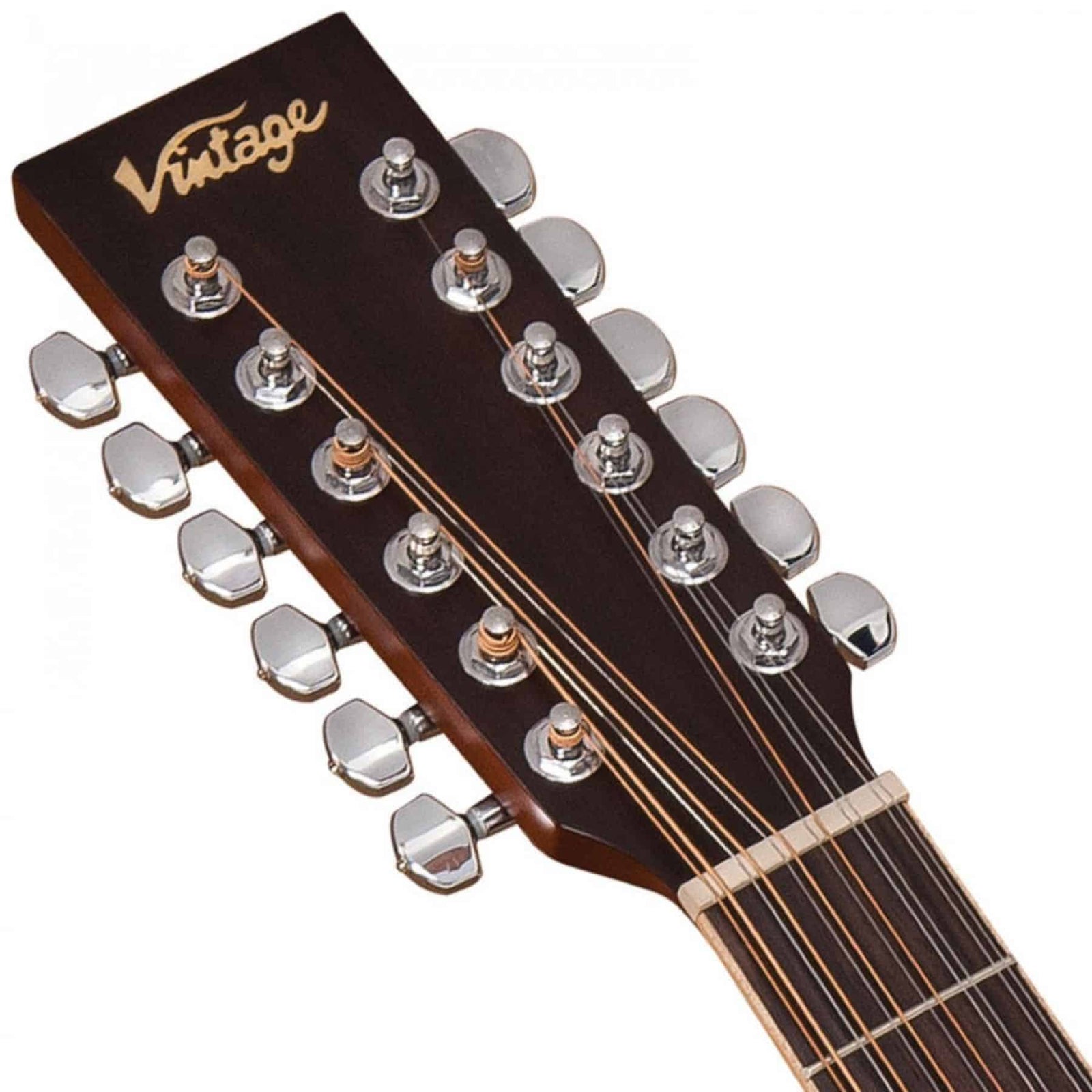 V501 12 String Acoustic