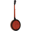Banjo Perfect 5 String BJ300