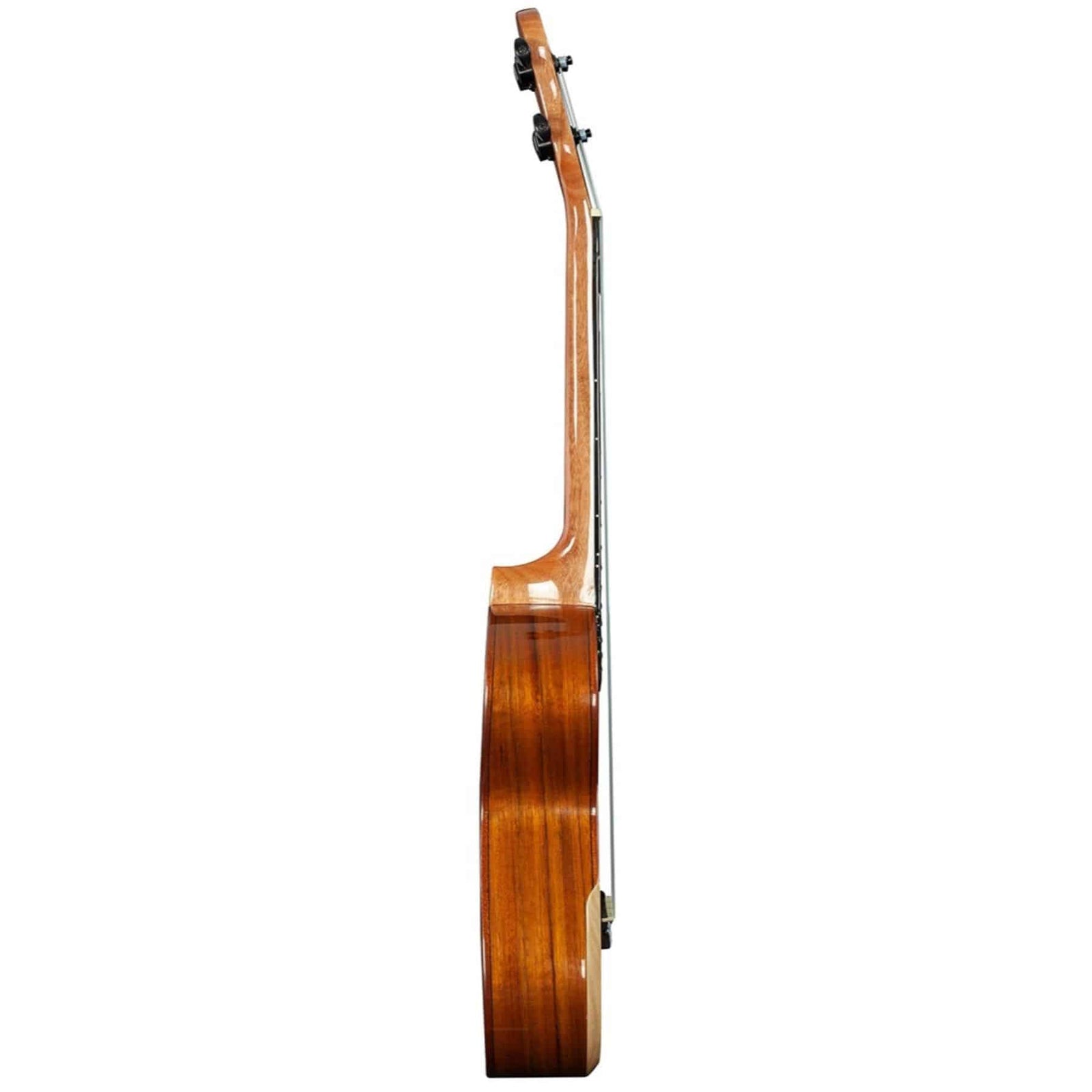 BMUK5C Concert Ukulele - Walnut
