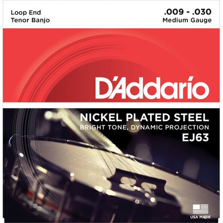 D'ADDARIO EJ63 Tenor Banjo Strings, Nickel Wound, Loop End 9-30