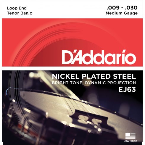 D'ADDARIO EJ63 Tenor Banjo Strings, Nickel Wound, Loop End 9-30