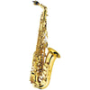 Alto Sax Outfit 4460
