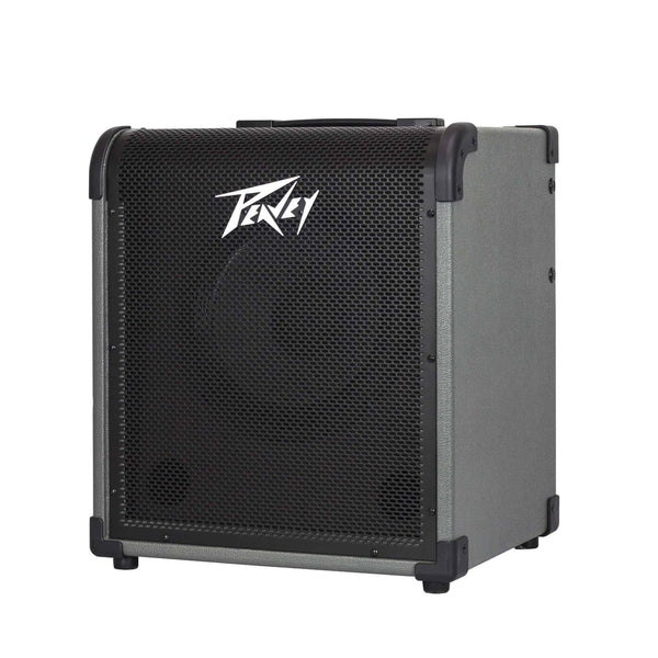 PVMX100 Bass Combo 100w 1 x 10"