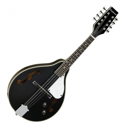 TWMTBK PE Electro Mandolin