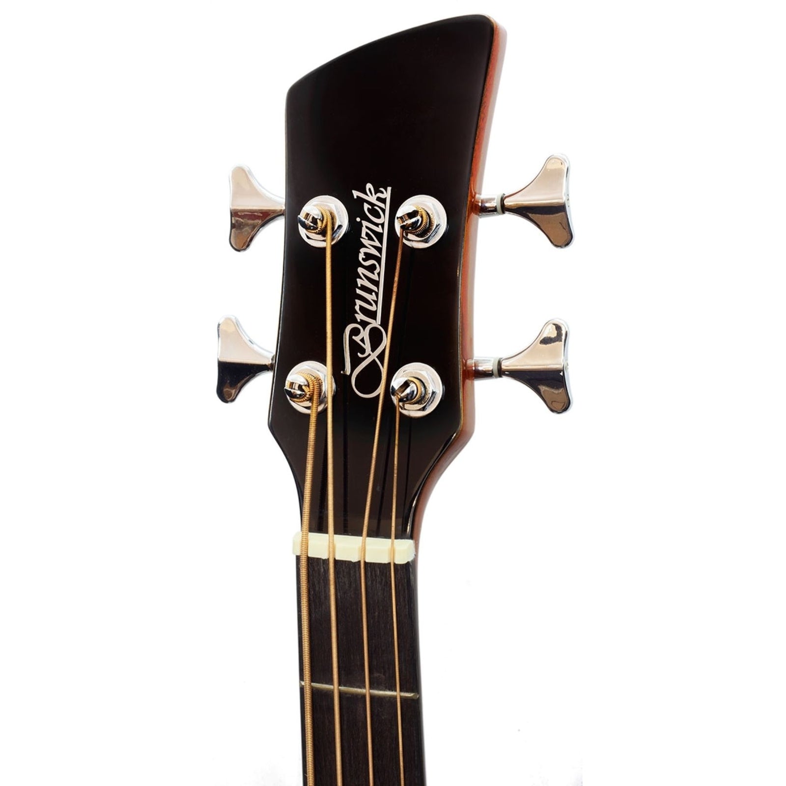 TBJBA Electro Acoustic Bass Guitar