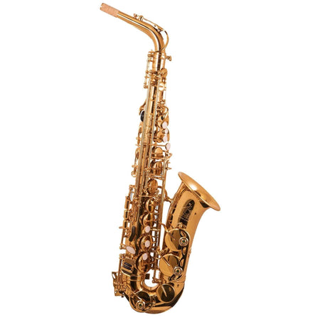 Alto Sax The Horn 3730G