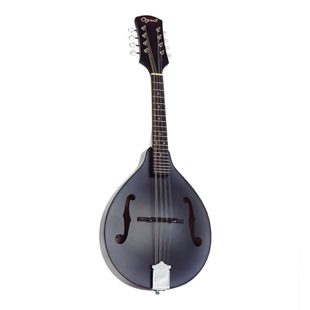 Mandolin A Type 2371BK Black