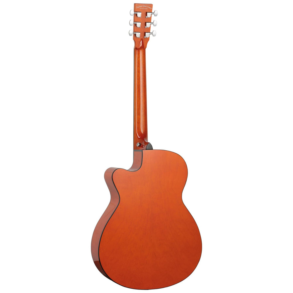 TA4 CE HN Electro Acoustic Amber Gloss