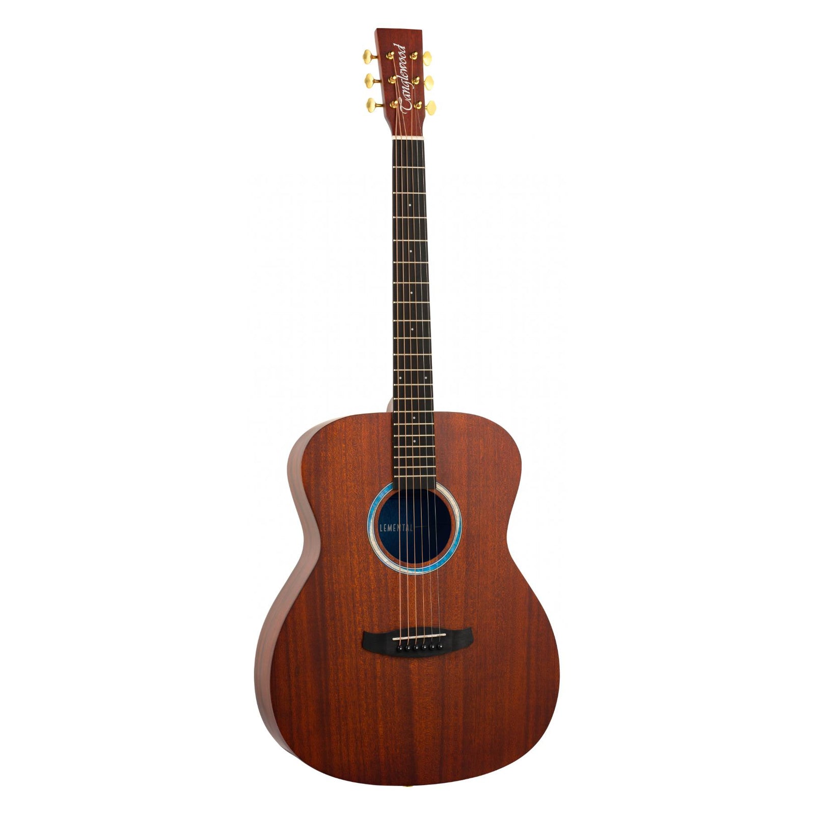 TE3 BL Elemental Acoustic Guitar
