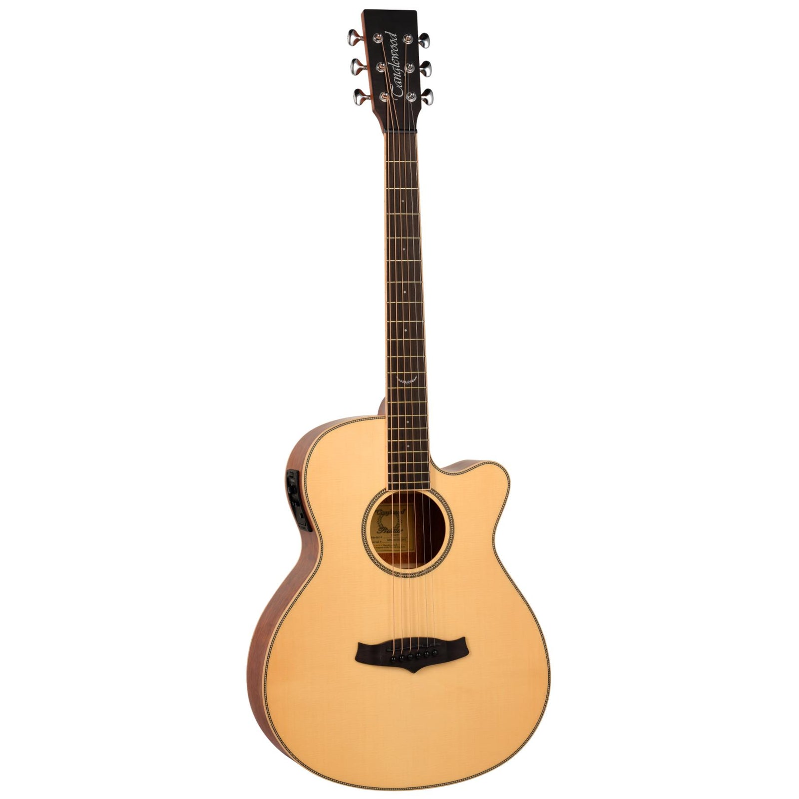 TP4CE Premier Electro Acoustic