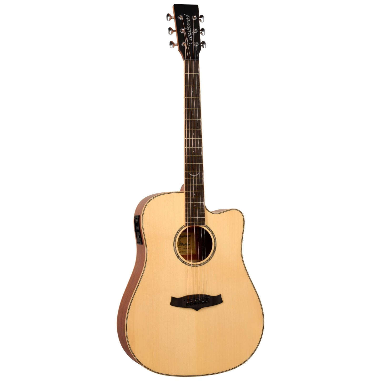 TP5SE Dreadnought Electro Acoustic