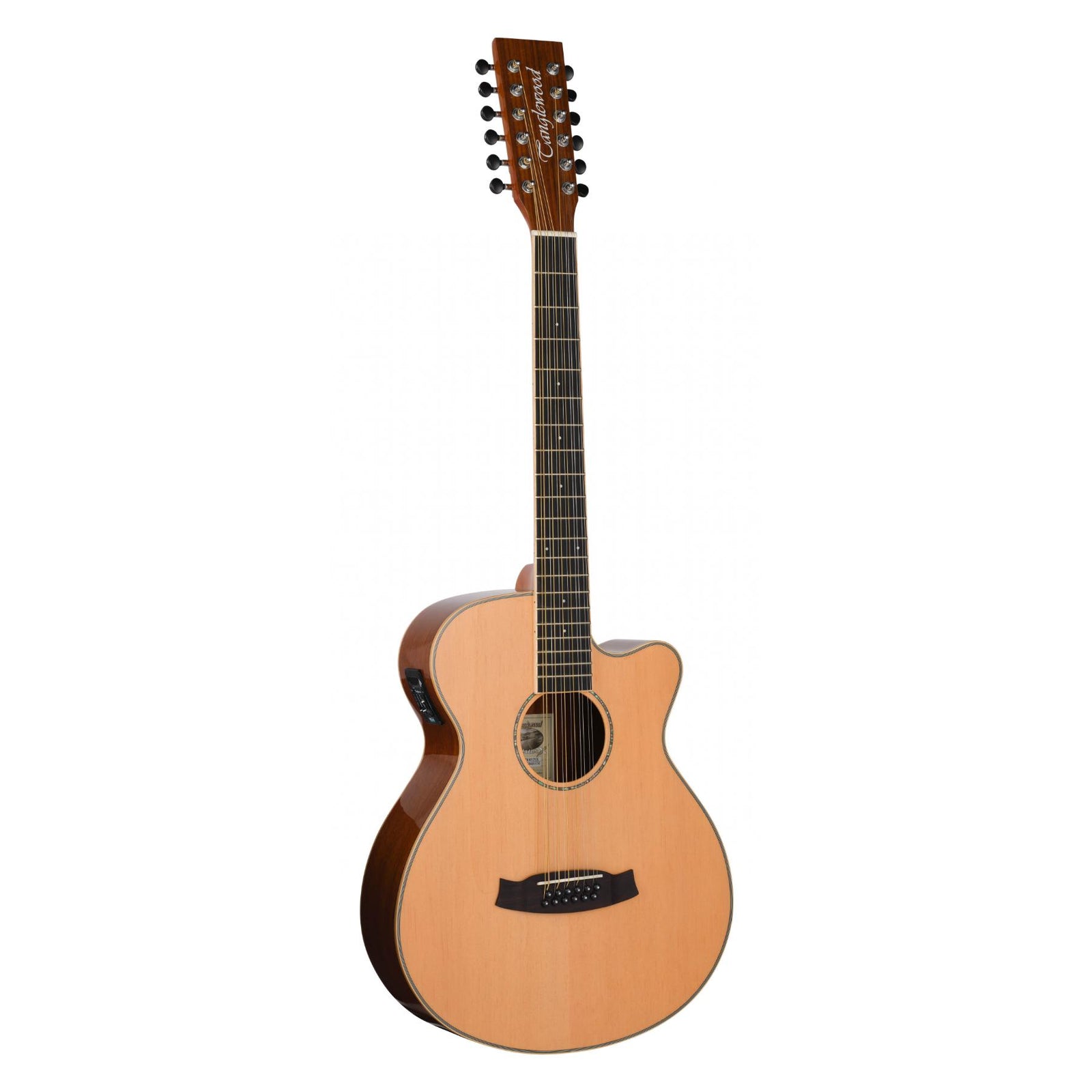 TRX412 CE 12 String Electro Acoustic