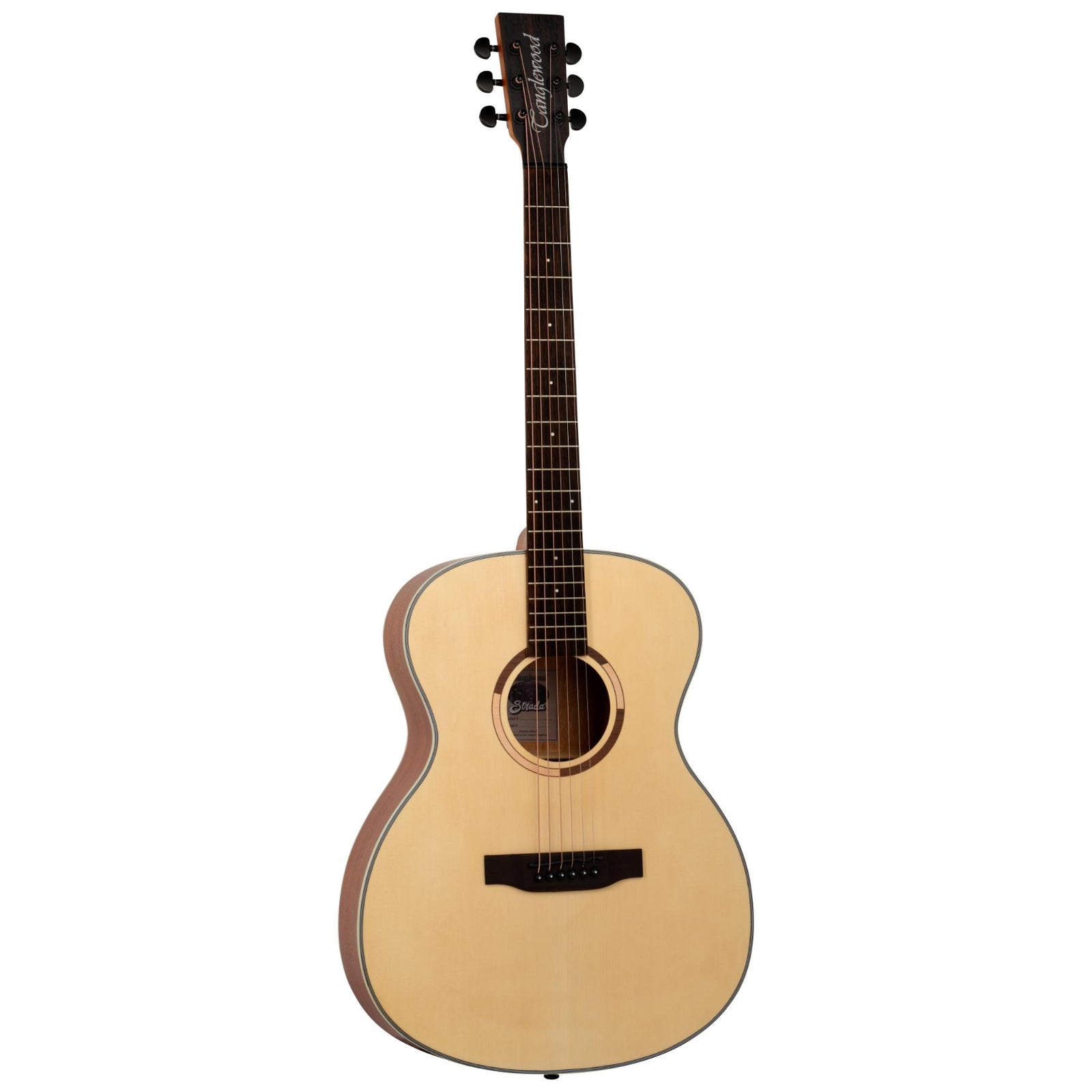 TS3 Strada Acoustic Guitar