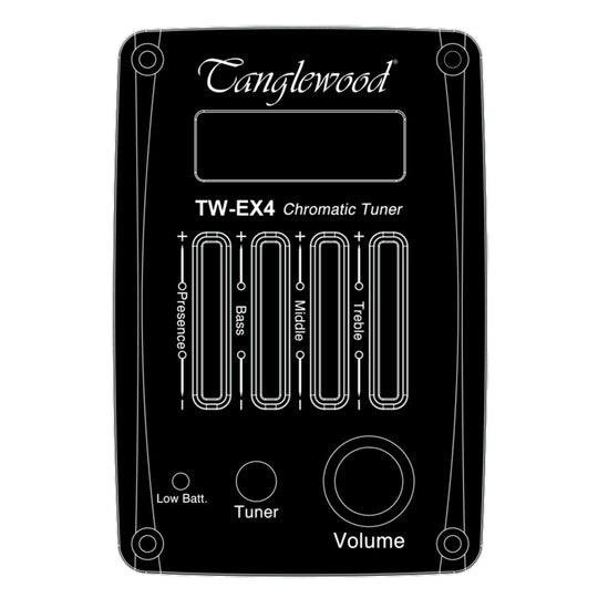 TWCR SFCE Crossroads Electro Acoustic