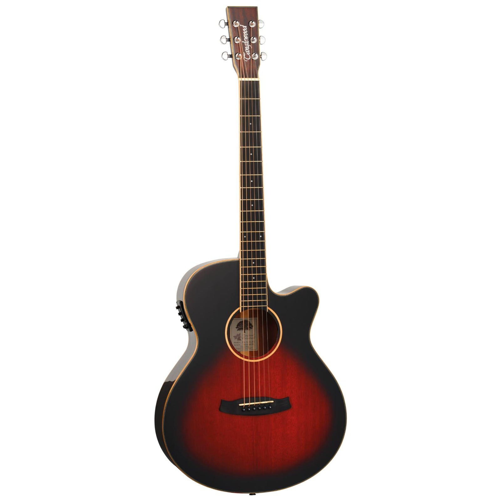 TW4 TLCE AVB Electro Acoustic