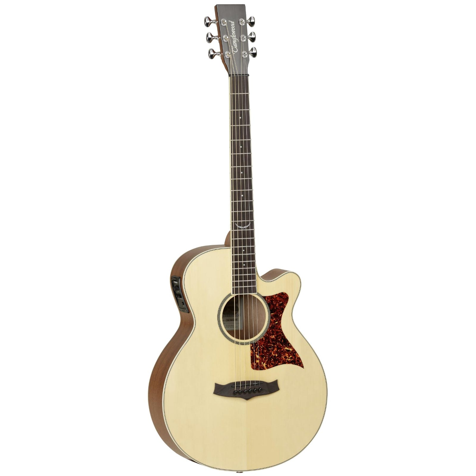 TP4CE Premier Electro Acoustic