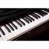 MFDP12 Digital Piano 88 Weighted Keys