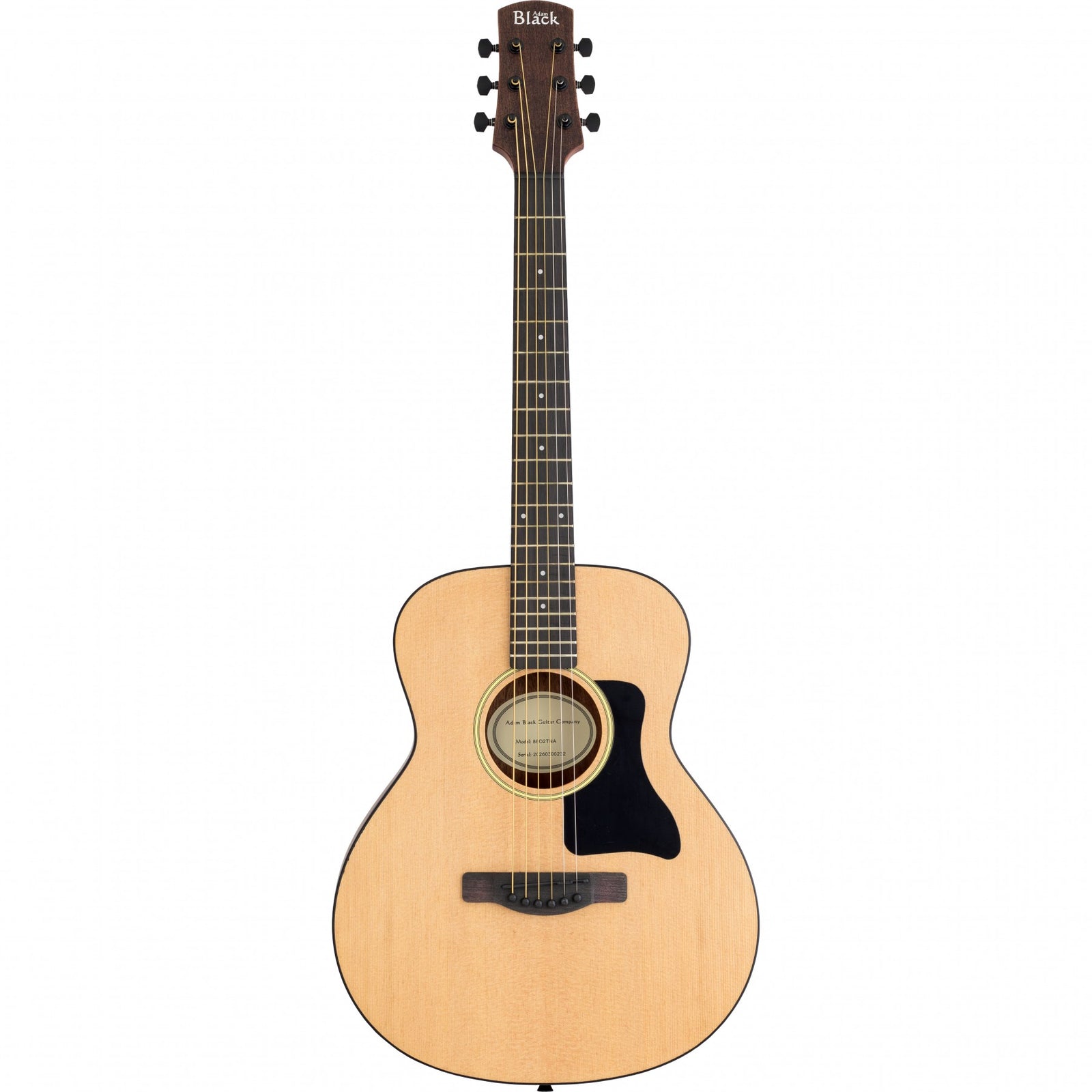 8802TNA Travel Acoustic Natural