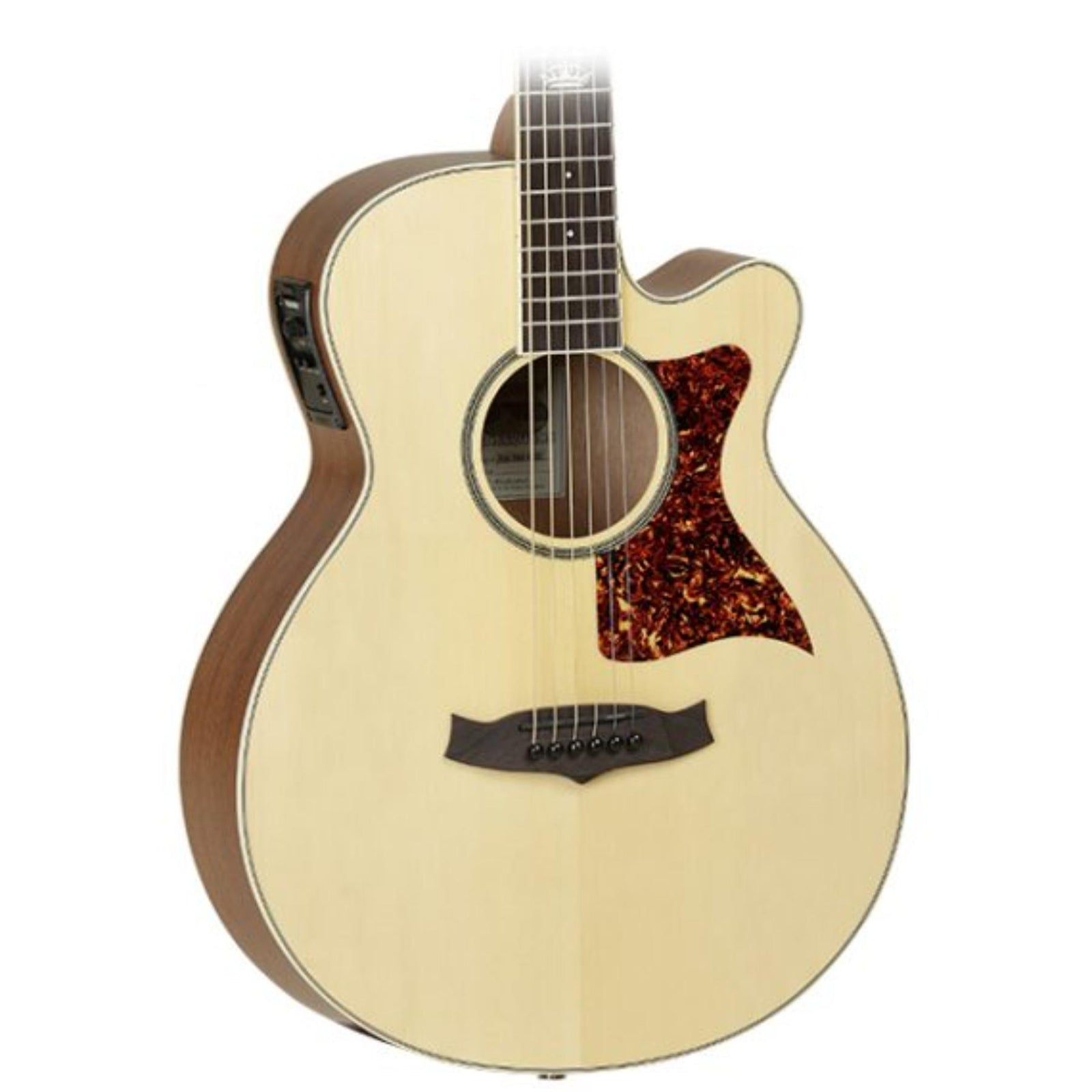 TP4CE Premier Electro Acoustic