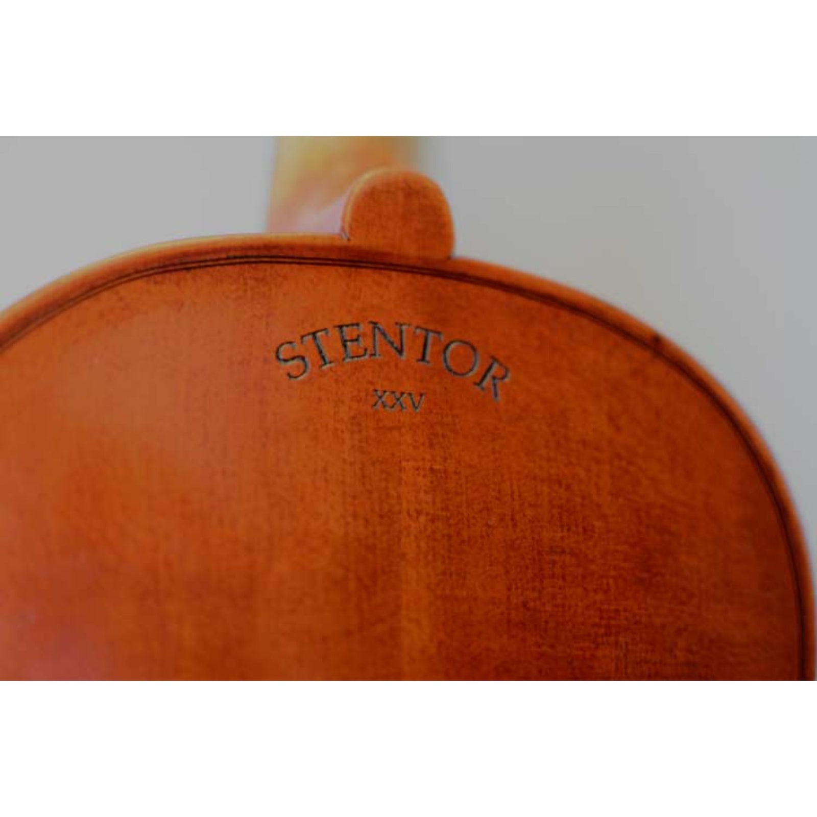 25th Anniversary Violin Outfit 1700A