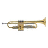 Trumpet Outfit 4810
