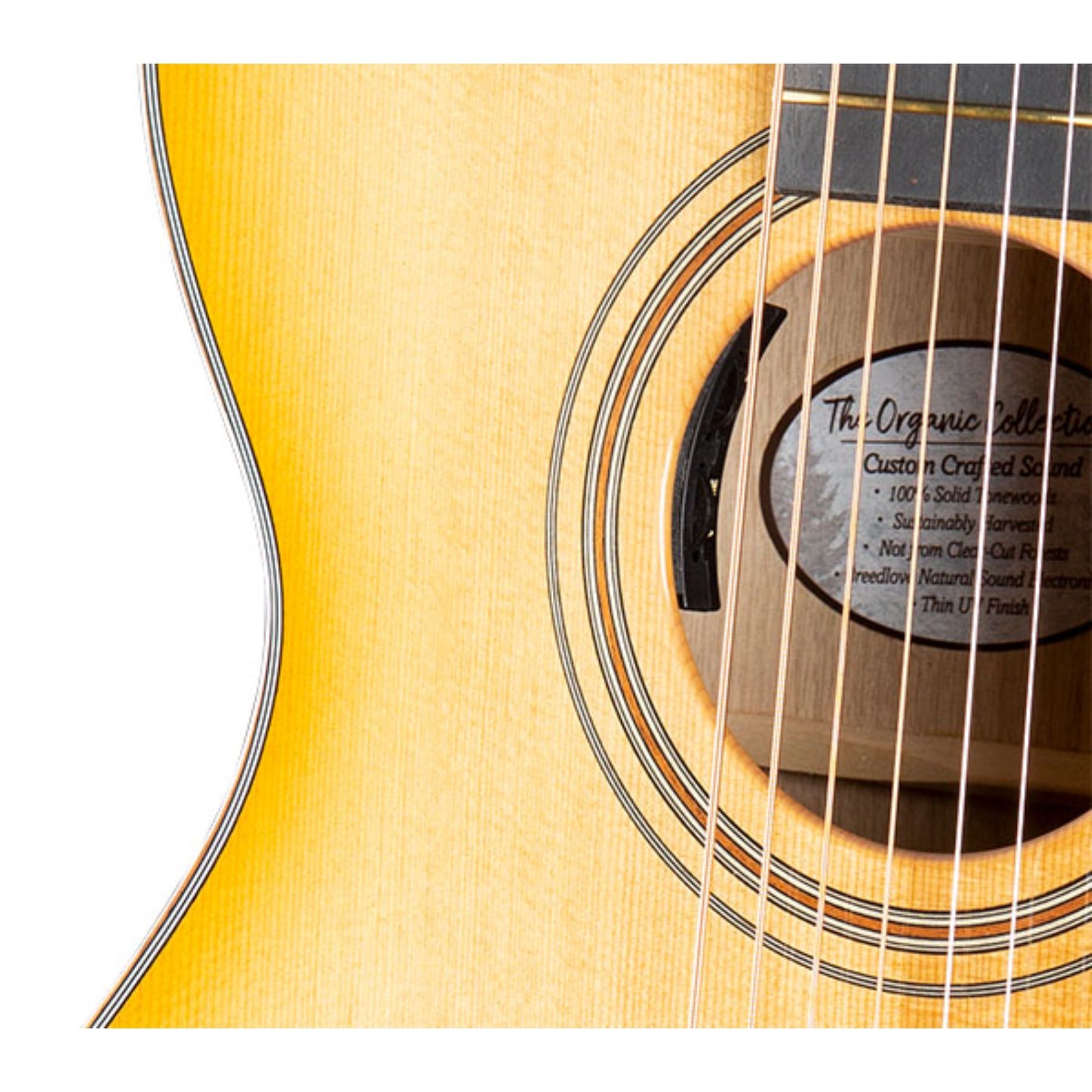 Organic Artista Concert CE