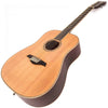 V501 12 String Acoustic
