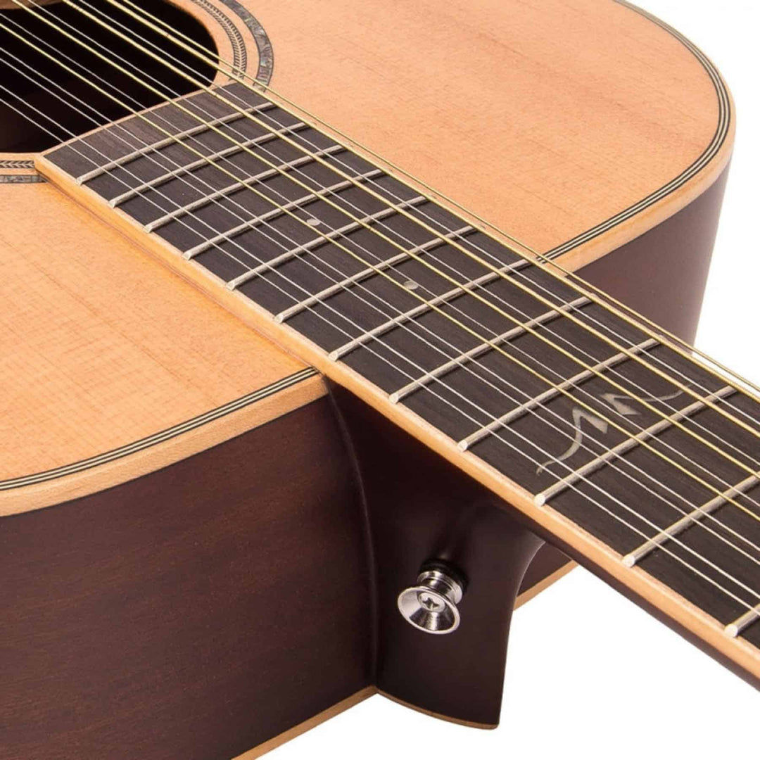 V501 12 String Acoustic