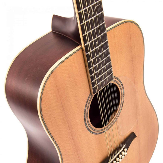V501 12 String Acoustic