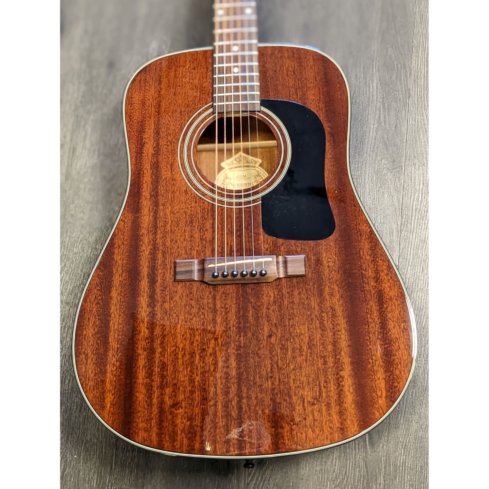 Washburn d10m sales