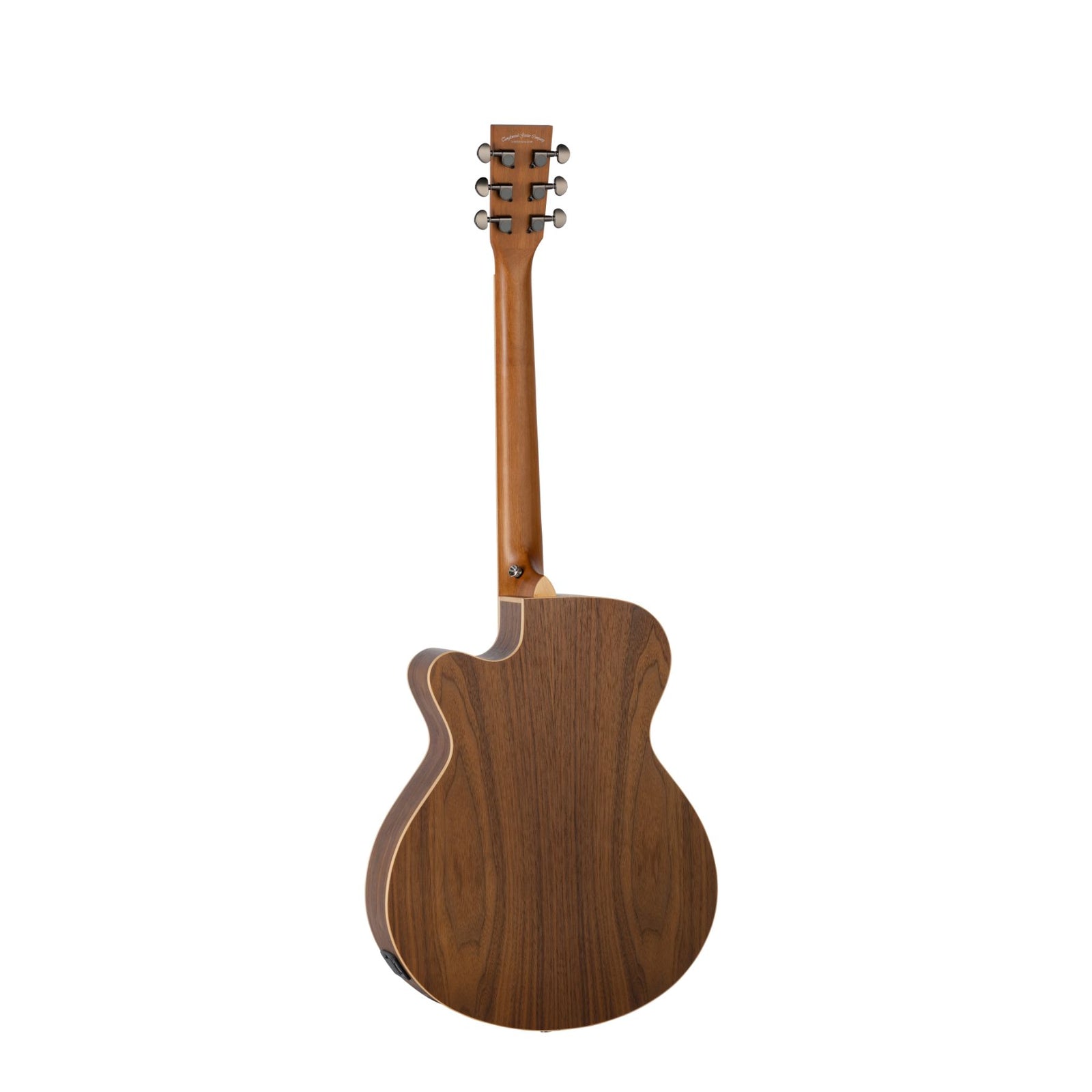 TRSF CE BW Electro Cutaway