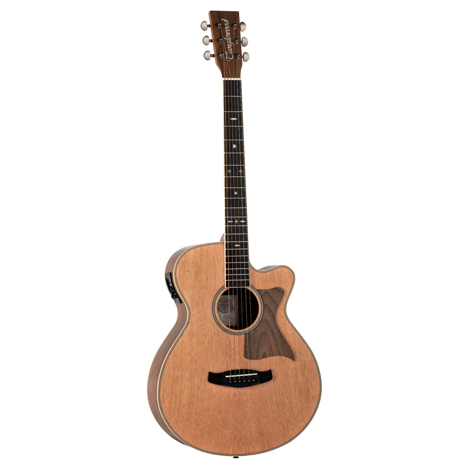 TRSF CE BW Electro Cutaway