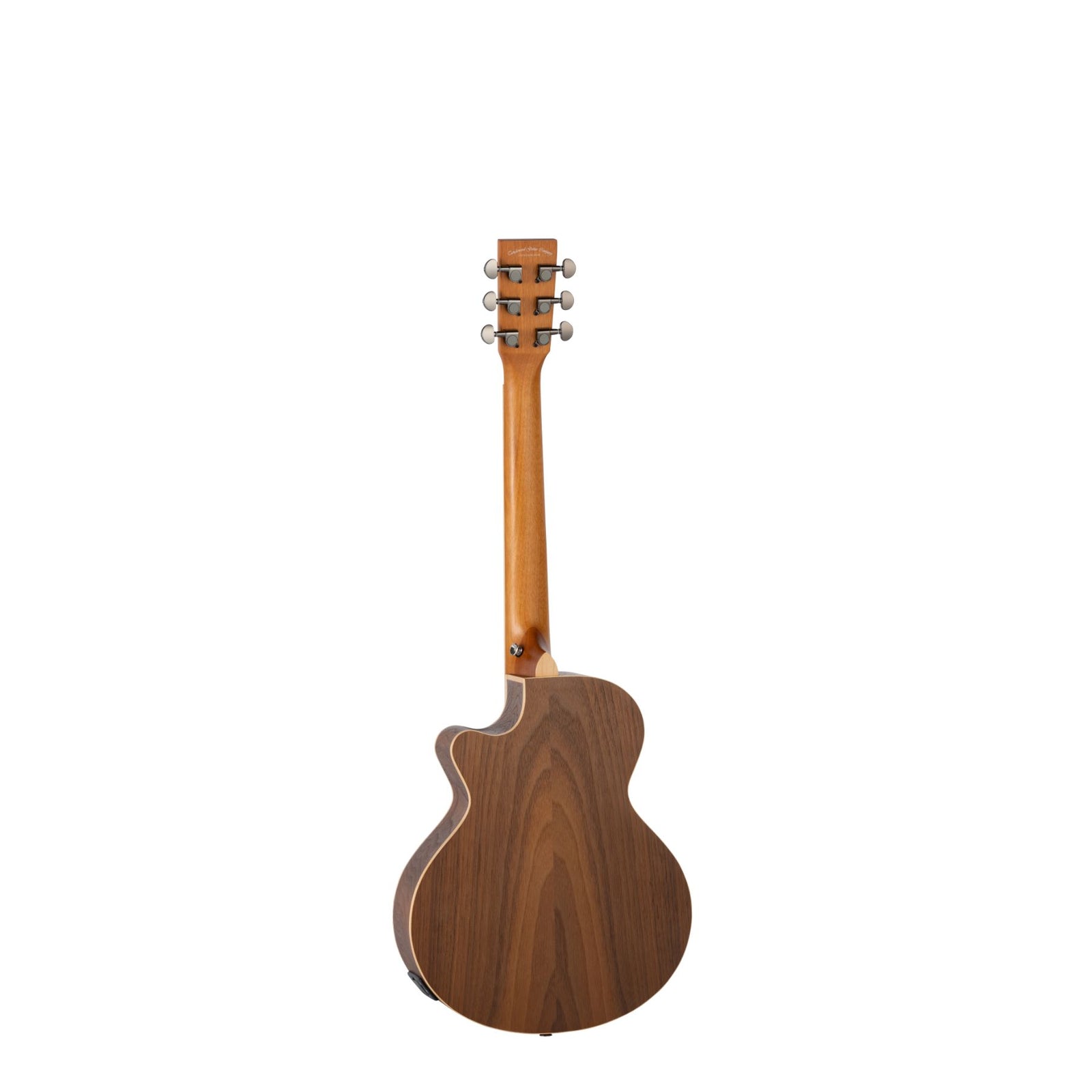 TRT CE BW Travel Electro Cutaway