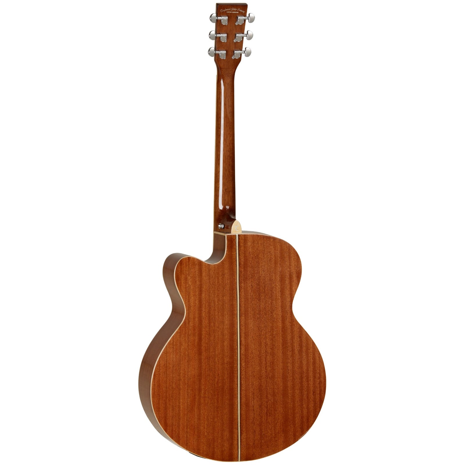TW4 SJ WB Winterleaf Electro Acoustic