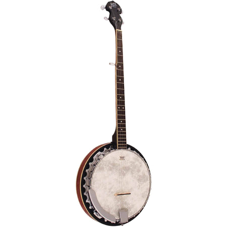 Banjo Perfect 5 String BJ300