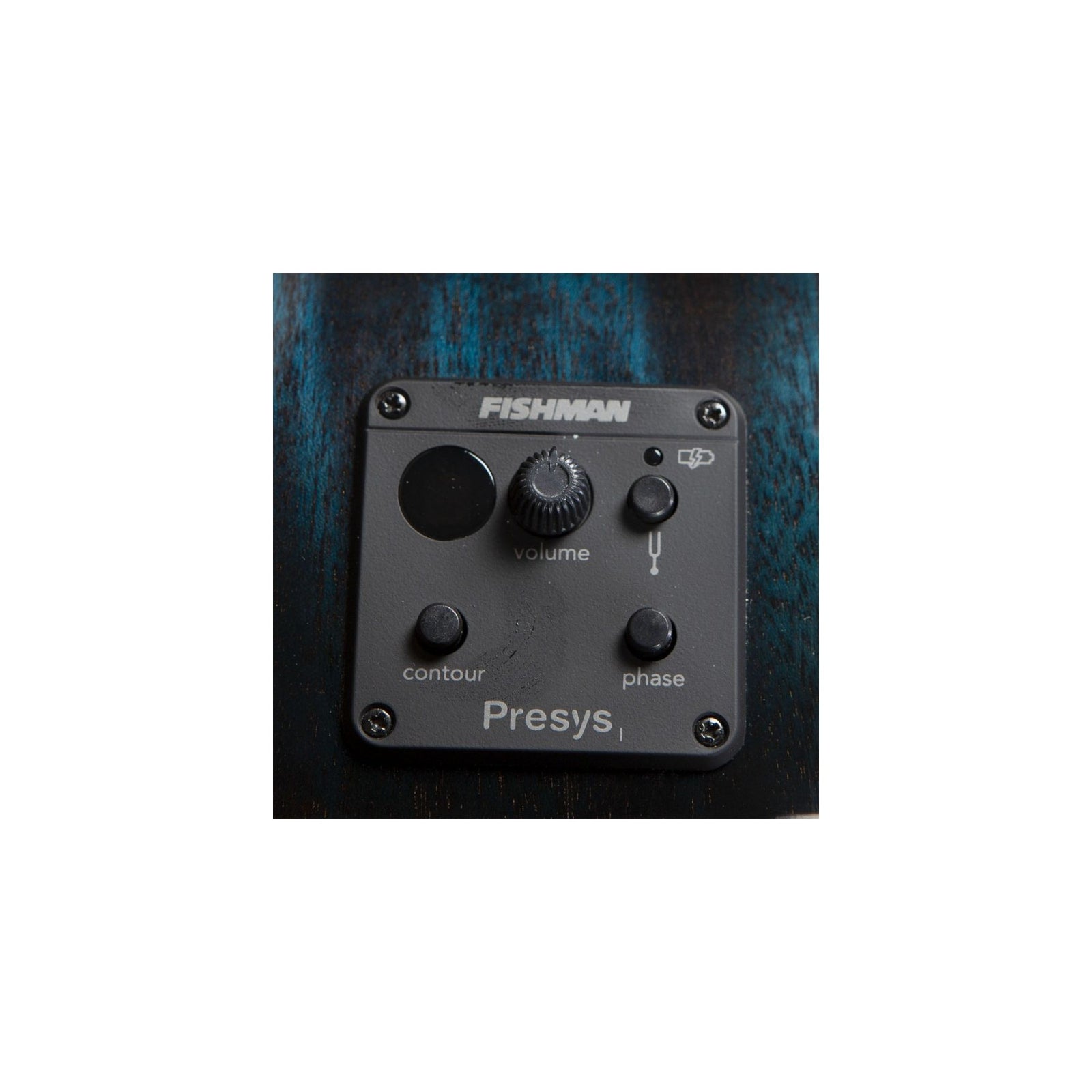 ECO Rainforest S Concert Papillion