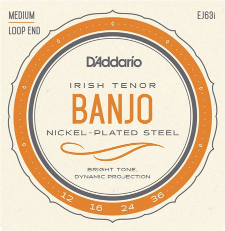 IRISH TENOR BANJO 12>36 STRINGS EJ63I
