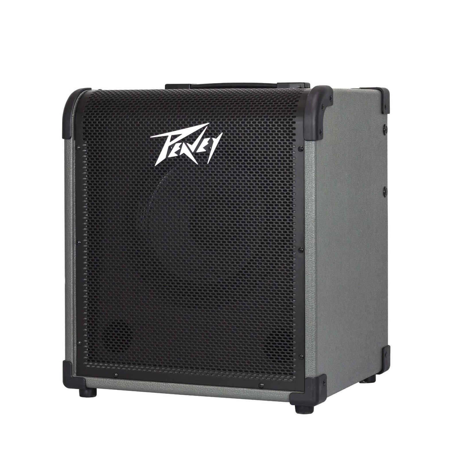 PVMX100 Bass Combo 100w 1 x 10"