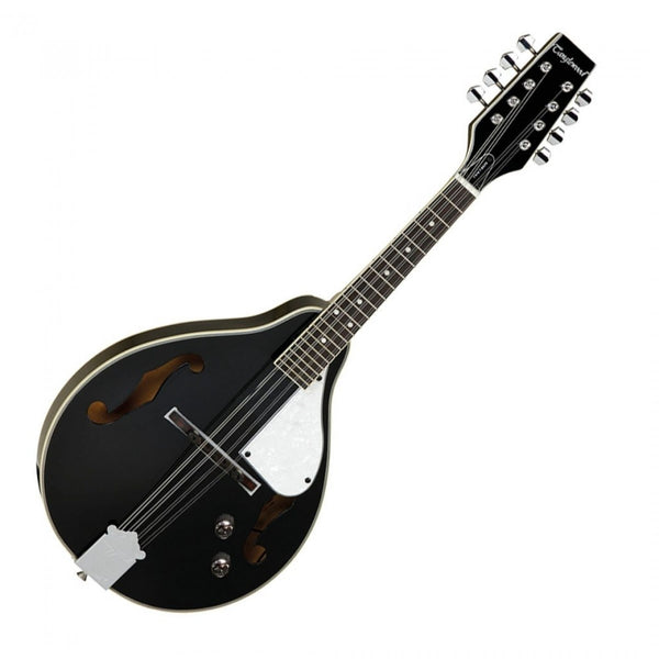 TWMTBK PE Electro Mandolin