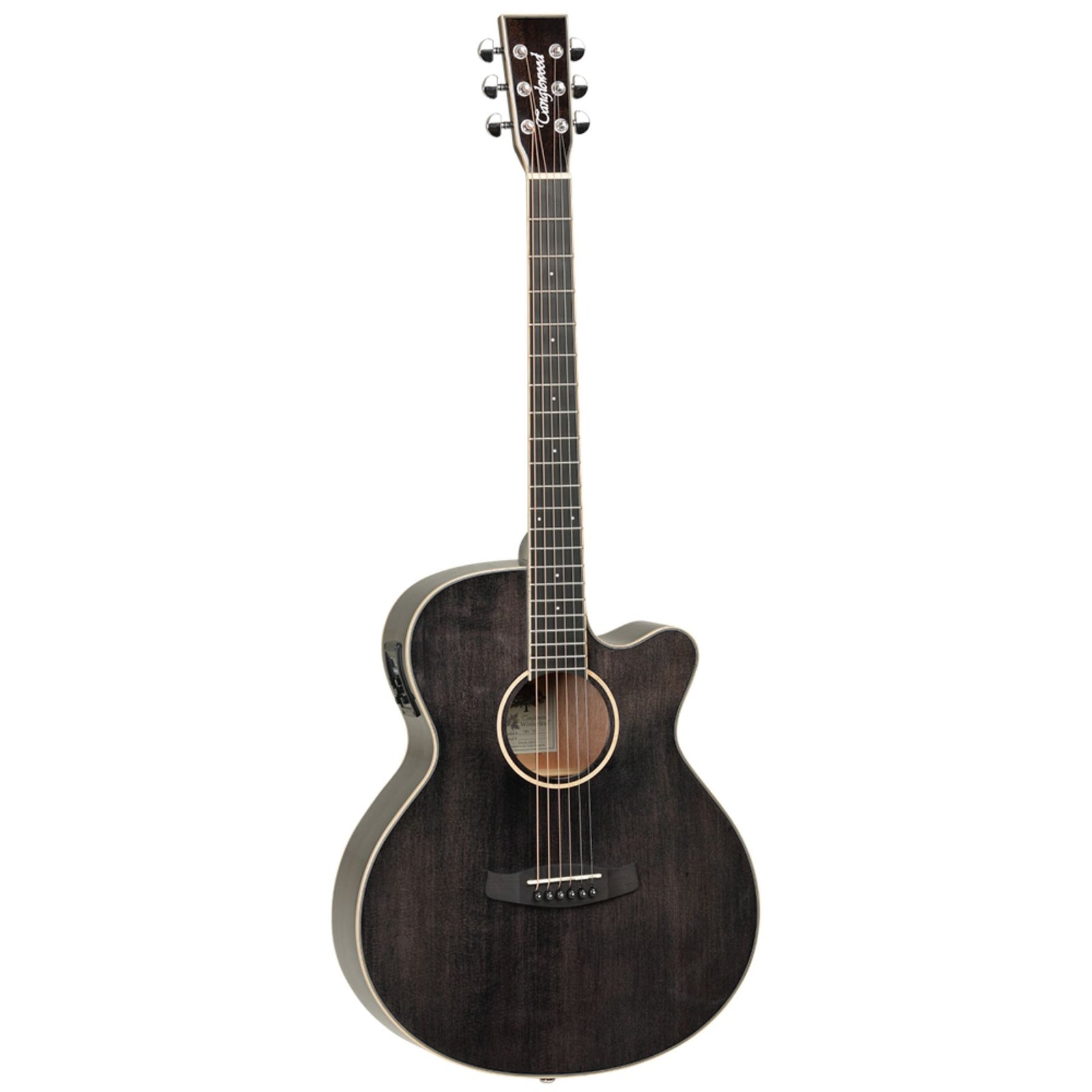 TW4CE BS Winterleaf Electro Acoustic