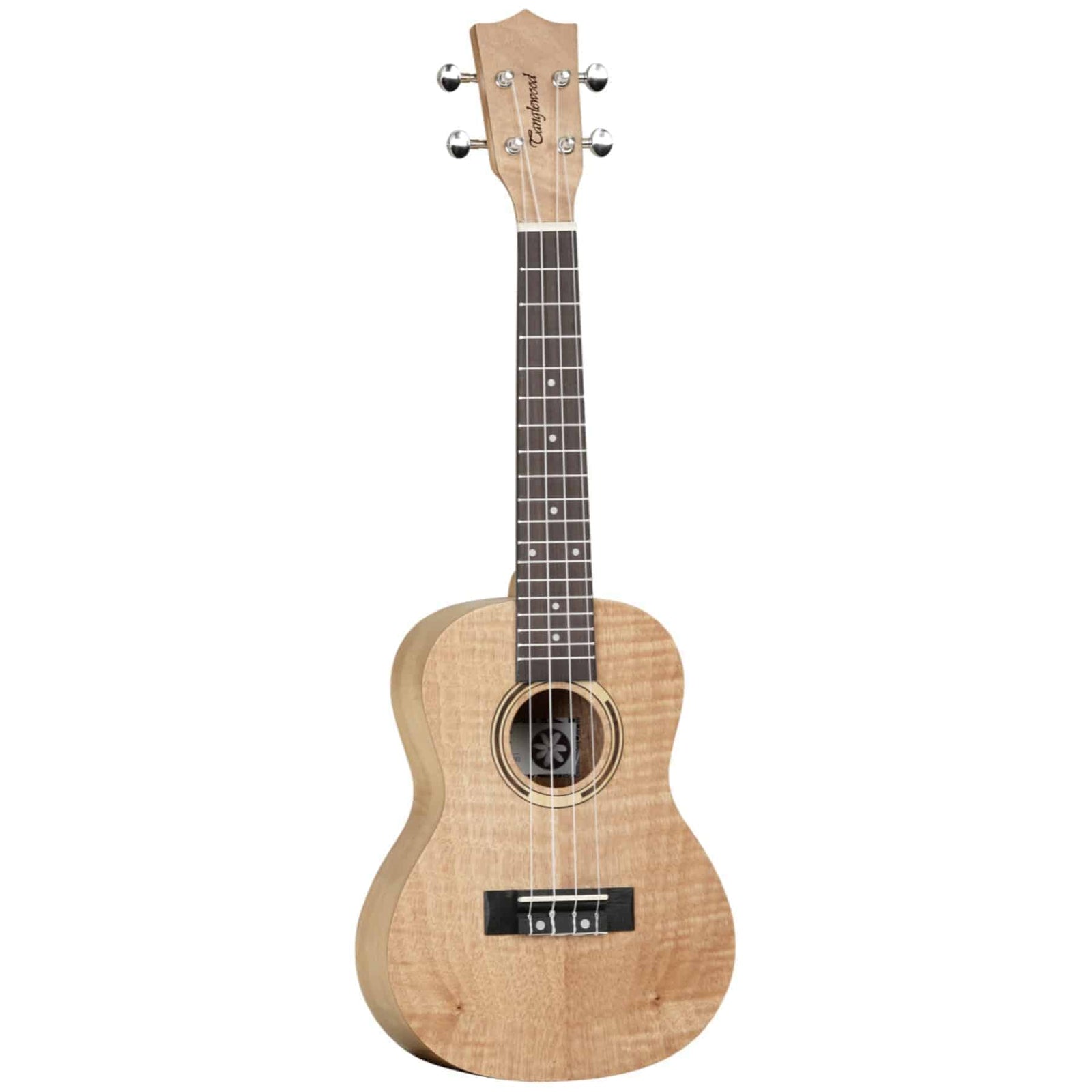 TWT6 Concert Ukulele