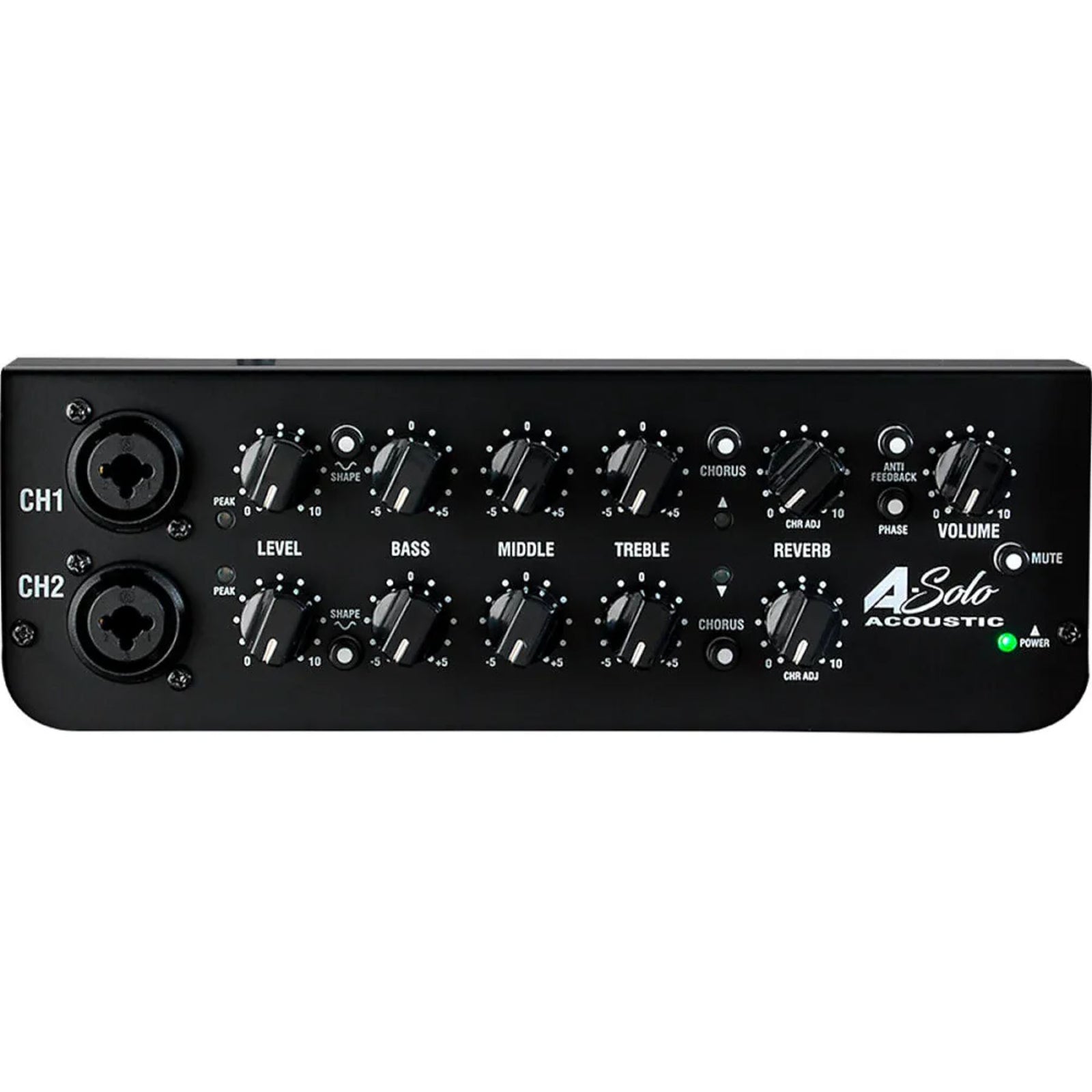 A Solo 60w Acoustic Combo