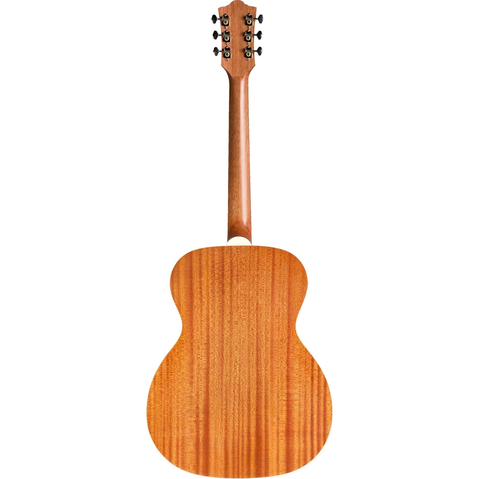 OM240E Electro Acoustic