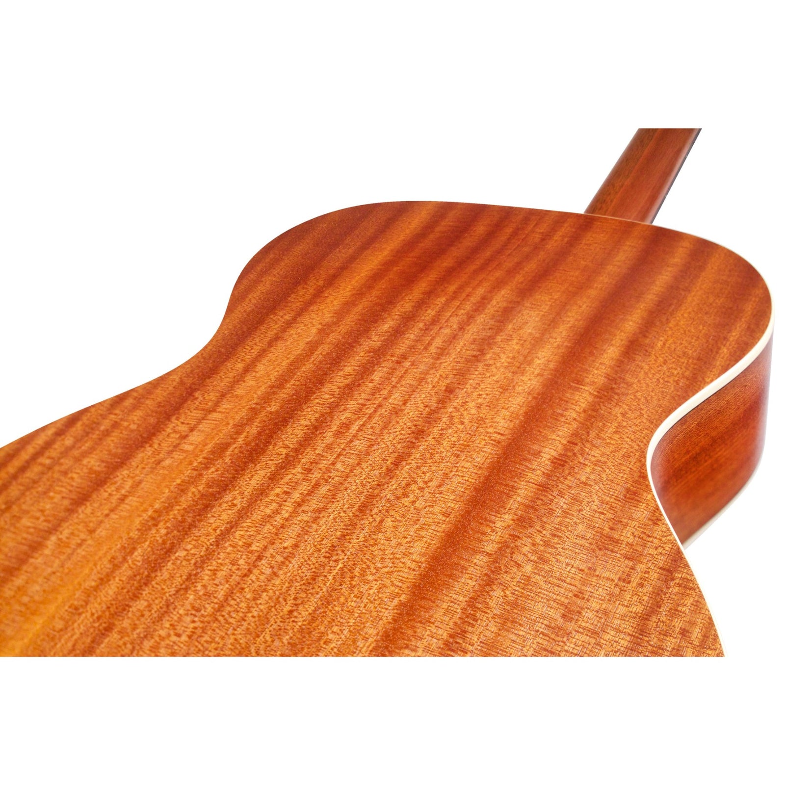 OM240E Electro Acoustic