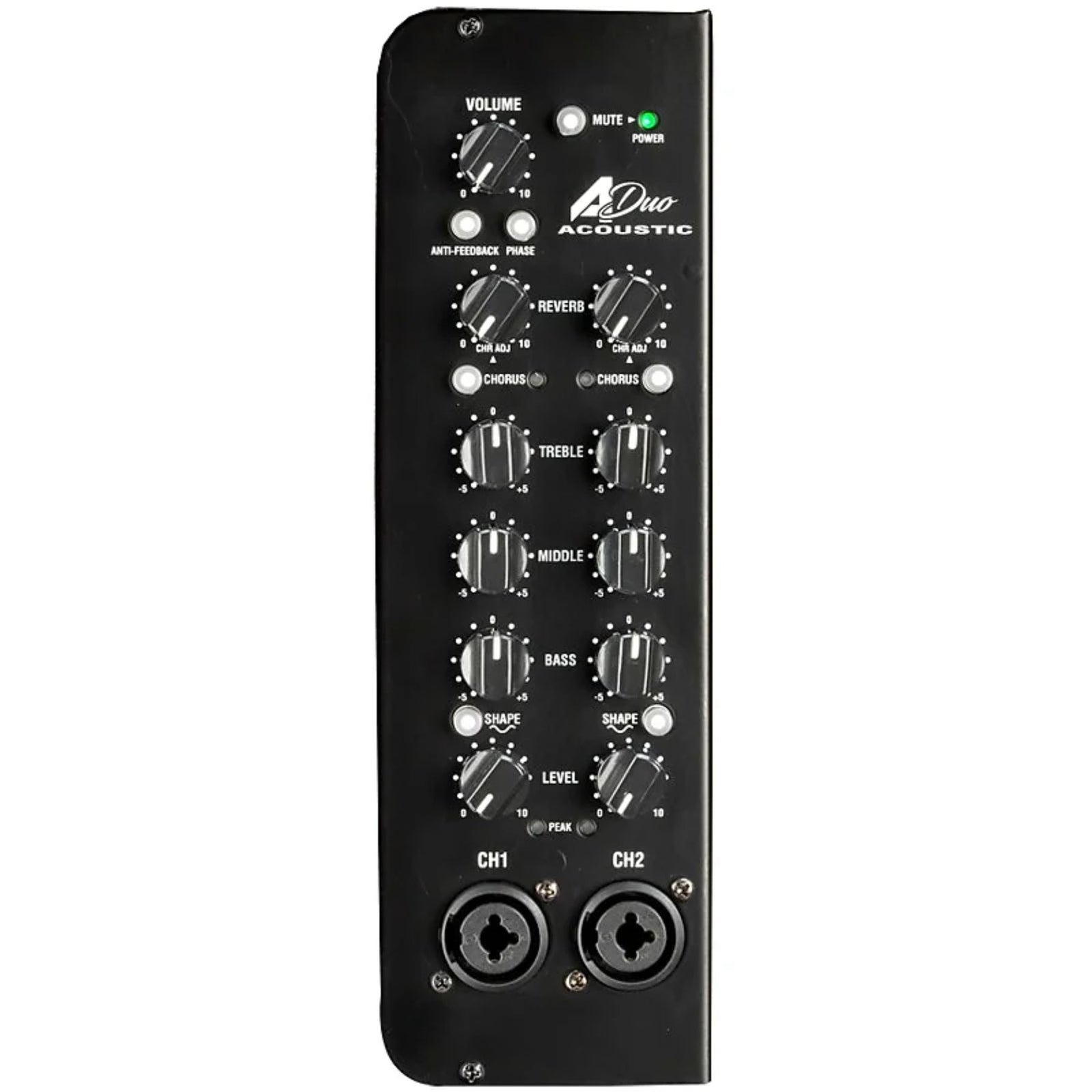 A Duo 120w Acoustic Combo